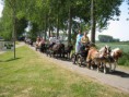 /album/menrit-04-06-2011/zeeuwse-menrit-juni-2011-009-jpg/
